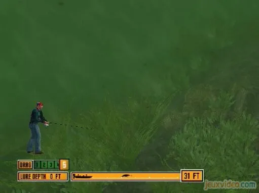 Snapshot